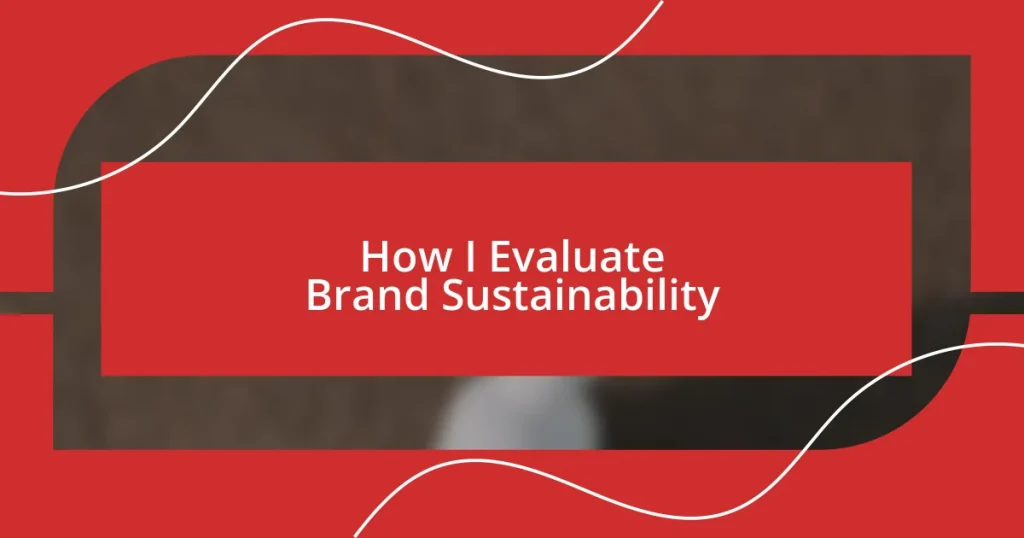 How I Evaluate Brand Sustainability