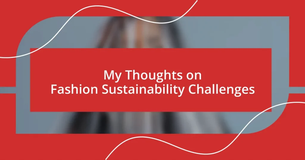 My Thoughts on Fashion Sustainability Challenges